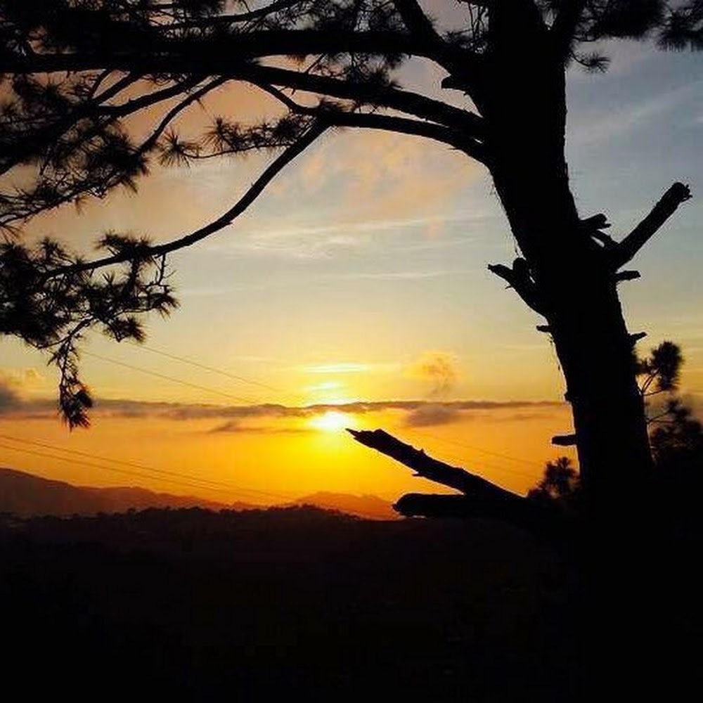 Meet your Posher, Fuzzy